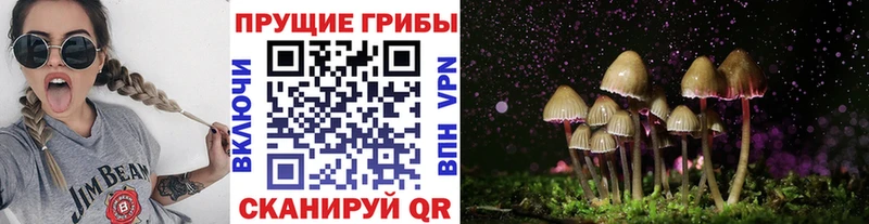 Купить закладки Вихоревка Галлюциногенные грибы Magic Shrooms